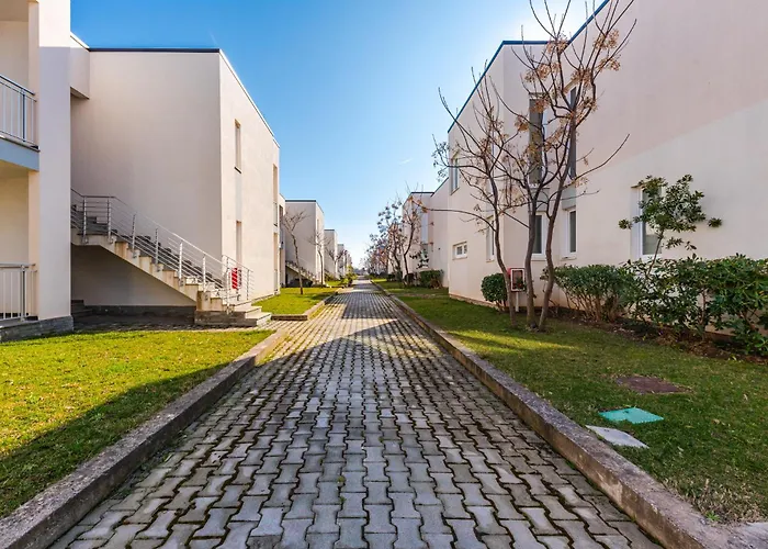 Blue Haven Talea By Pikhost *